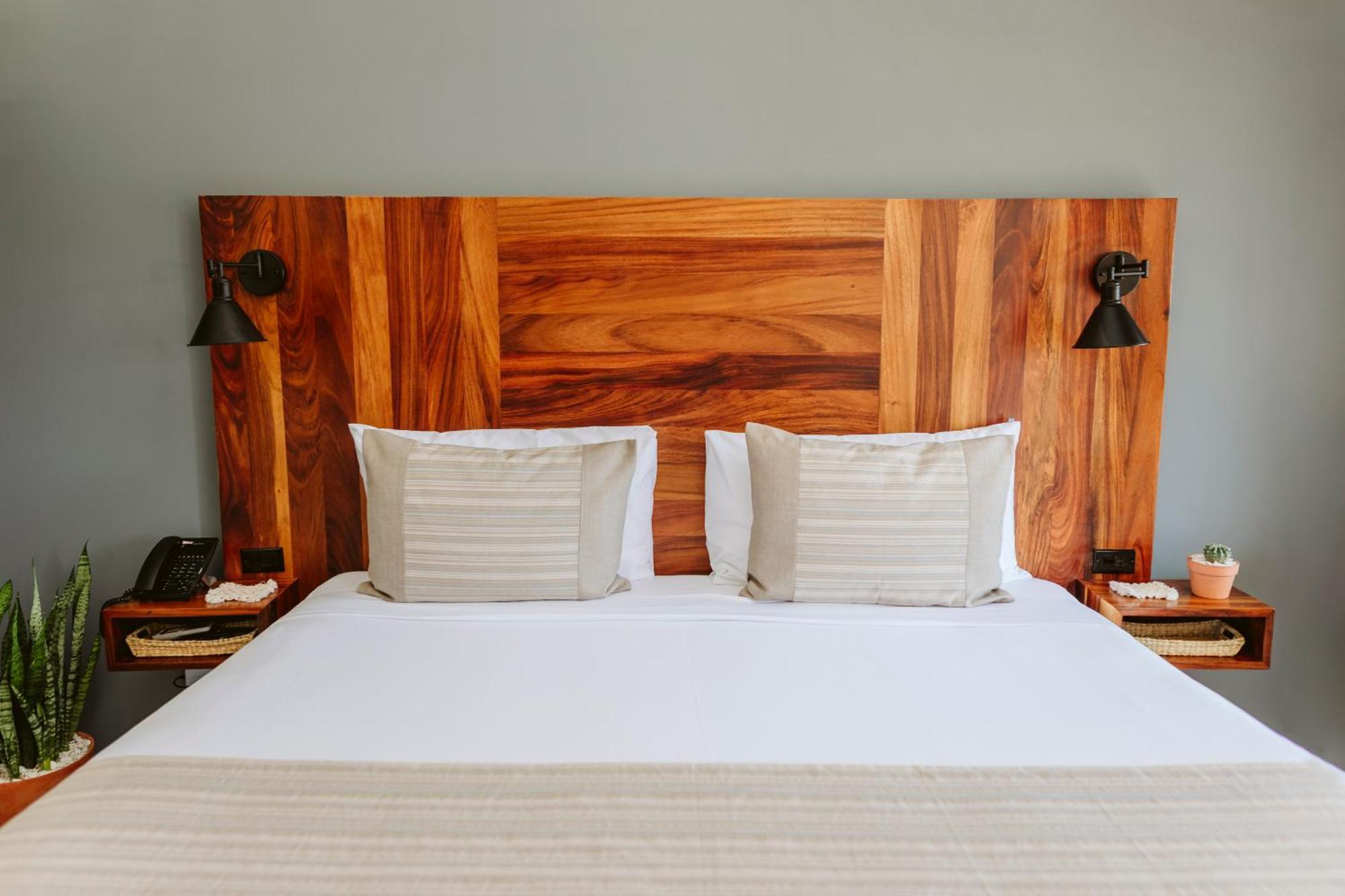 Six Two Four Urban Beach Hotel San Jose del Cabo Room photo