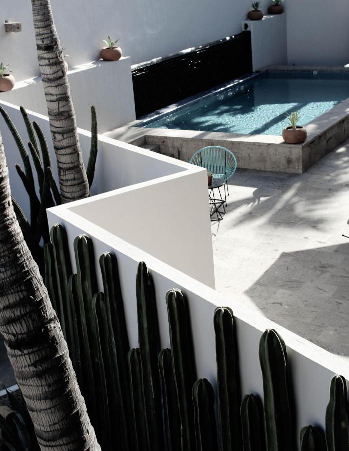 Six Two Four Urban Beach Hotel San Jose del Cabo Exterior photo